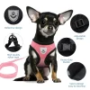 Cat Harness Vest Walking Lead Leash For Puppy Dogs Collar Polyester Adjustable Mesh Dog Harness For Small Medium Pet Accessories - Image 3