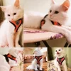 Cat Harness Vest Walking Lead Leash For Puppy Dogs Collar Polyester Adjustable Mesh Dog Harness For Small Medium Pet Accessories - Image 2