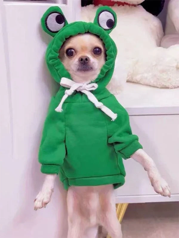 1PC Cute Frog Pet Sweater for Small and Medium Dogs - Green Dog Hoodie with Fun Design - Keep Your Pup Cozy and Stylish - Image 4