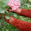 Long Rose Pruning Garden Gloves Anti-scratch Faux Leather Protective Gloves Fruit picking Shrub Pruning Trimming Hand Protector - Image 3