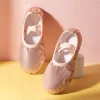 Dance Shoes Female Multi-Color Soft Sole Chinese Dance Children Practice Dance Special Baby Ballet Shoes - Image 2