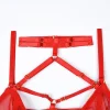 Spicy Girl's 3-Piece Halter Mesh Lingerie Set Sexy Garter Brief Kit Eco-Friendly Packing - Image 27